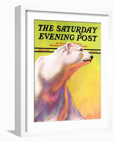 "Polar Bear," Saturday Evening Post Cover, February 1, 1936-Jack Murray-Framed Giclee Print