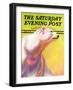 "Polar Bear," Saturday Evening Post Cover, February 1, 1936-Jack Murray-Framed Premium Giclee Print