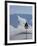 Polar Bear Sign, Longyearbyen, Svalbard, Spitzbergen, Arctic, Norway, Scandinavia, Europe-Milse Thorsten-Framed Premium Photographic Print