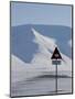 Polar Bear Sign, Longyearbyen, Svalbard, Spitzbergen, Arctic, Norway, Scandinavia, Europe-Milse Thorsten-Mounted Photographic Print