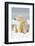 Polar Bear Sits Along Barrier Island, Bernard Spit, ANWR, Alaska, USA-Steve Kazlowski-Framed Photographic Print