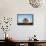 Polar Bear Skull, Hudson Bay, Nunavut, Canada-Paul Souders-Framed Stretched Canvas displayed on a wall