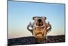 Polar Bear Skull, Hudson Bay, Nunavut, Canada-Paul Souders-Mounted Photographic Print