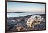 Polar Bear Skull, Hudson Bay, Nunavut, Canada-Paul Souders-Framed Photographic Print