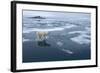 Polar Bear Standing at Edge of Melting Ice-Paul Souders-Framed Photographic Print