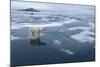 Polar Bear Standing at Edge of Melting Ice-Paul Souders-Mounted Photographic Print