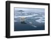 Polar Bear Standing at Edge of Melting Ice-Paul Souders-Framed Photographic Print