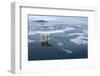 Polar Bear Standing at Edge of Melting Ice-Paul Souders-Framed Photographic Print