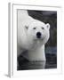 Polar Bear Standing in Shallow Water Along Coast of Malmgren Island, Svalbard, Norway-Paul Souders-Framed Photographic Print