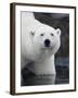 Polar Bear Standing in Shallow Water Along Coast of Malmgren Island, Svalbard, Norway-Paul Souders-Framed Photographic Print