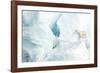 Polar bear standing on glacier. Svalbard, Norway-Danny Green-Framed Photographic Print