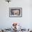 Polar Bear Standing on Rocks-DLILLC-Framed Photographic Print displayed on a wall
