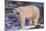 Polar Bear Standing on Rocks-DLILLC-Mounted Photographic Print