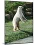 Polar Bear Standing Up Full Bleed-Martin Fowkes-Mounted Giclee Print