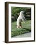 Polar Bear Standing Up-Martin Fowkes-Framed Giclee Print