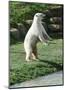 Polar Bear Standing Up-Martin Fowkes-Mounted Giclee Print