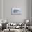 Polar bear standing with cub peering out behind, Norway-Danny Green-Stretched Canvas displayed on a wall