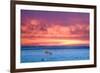 Polar Bear Sunset-Howard Ruby-Framed Photographic Print