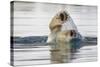 Polar Bear, Svalbard, Norway-Paul Souders-Stretched Canvas