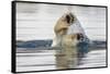 Polar Bear, Svalbard, Norway-Paul Souders-Framed Stretched Canvas