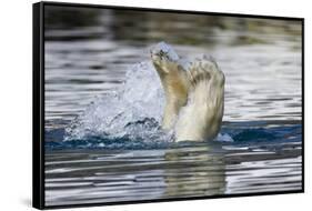 Polar Bear, Svalbard, Norway-Paul Souders-Framed Stretched Canvas