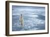 Polar Bear, Svalbard, Norway-null-Framed Premium Photographic Print