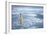 Polar Bear, Svalbard, Norway-null-Framed Premium Photographic Print