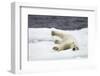 Polar Bear, Svalbard, Norway-Paul Souders-Framed Photographic Print