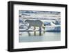 Polar Bear, Svalbard, Norway-Paul Souders-Framed Photographic Print