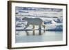 Polar Bear, Svalbard, Norway-Paul Souders-Framed Photographic Print