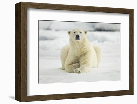 Polar Bear, Svalbard, Norway-Paul Souders-Framed Photographic Print