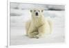 Polar Bear, Svalbard, Norway-Paul Souders-Framed Photographic Print