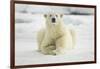 Polar Bear, Svalbard, Norway-Paul Souders-Framed Photographic Print