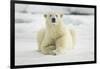 Polar Bear, Svalbard, Norway-Paul Souders-Framed Photographic Print