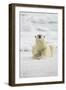 Polar Bear, Svalbard, Norway-Paul Souders-Framed Photographic Print