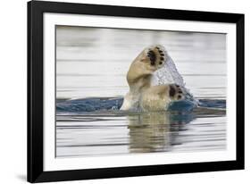 Polar Bear, Svalbard, Norway-Paul Souders-Framed Photographic Print