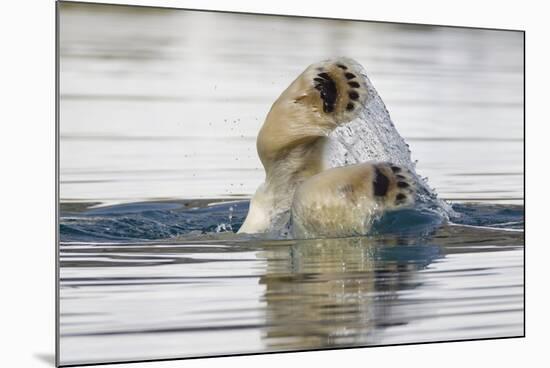 Polar Bear, Svalbard, Norway-Paul Souders-Mounted Photographic Print