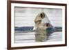 Polar Bear, Svalbard, Norway-Paul Souders-Framed Photographic Print