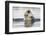 Polar Bear, Svalbard, Norway-Paul Souders-Framed Photographic Print