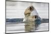 Polar Bear, Svalbard, Norway-Paul Souders-Mounted Photographic Print