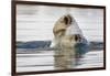 Polar Bear, Svalbard, Norway-Paul Souders-Framed Photographic Print