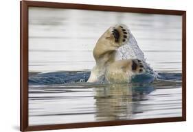 Polar Bear, Svalbard, Norway-Paul Souders-Framed Photographic Print