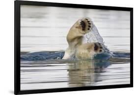 Polar Bear, Svalbard, Norway-Paul Souders-Framed Photographic Print