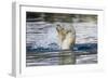 Polar Bear, Svalbard, Norway-Paul Souders-Framed Photographic Print