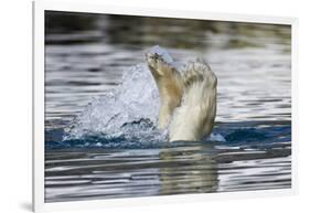 Polar Bear, Svalbard, Norway-Paul Souders-Framed Photographic Print