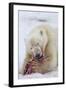 Polar Bear, Svalbard, Norway-Paul Souders-Framed Photographic Print