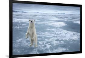 Polar Bear, Svalbard, Norway-null-Framed Photographic Print