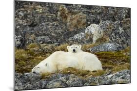 Polar Bear, Svalbard, Norway-Paul Souders-Mounted Photographic Print