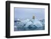 Polar Bear, Svalbard, Norway-Paul Souders-Framed Photographic Print