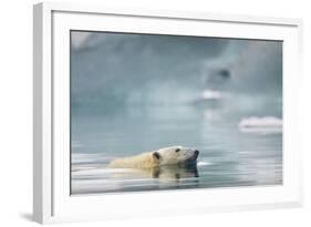 Polar Bear, Svalbard, Norway-Paul Souders-Framed Photographic Print